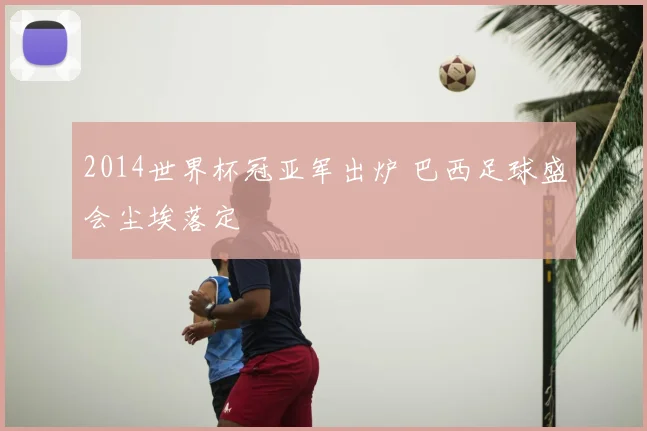 2014世界杯冠亚军出炉 巴西足球盛会尘埃落定