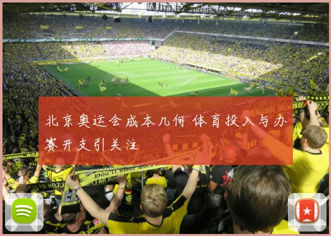 北京奥运会成本几何 体育投入与办赛开支引关注