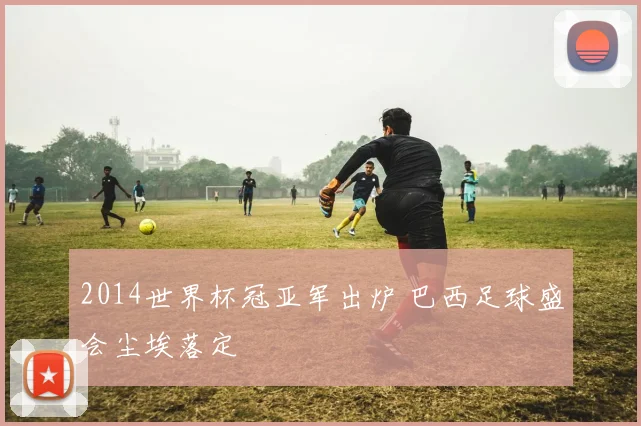 2014世界杯冠亚军出炉 巴西足球盛会尘埃落定
