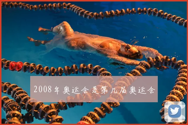 2008年奥运会是第几届奥运会